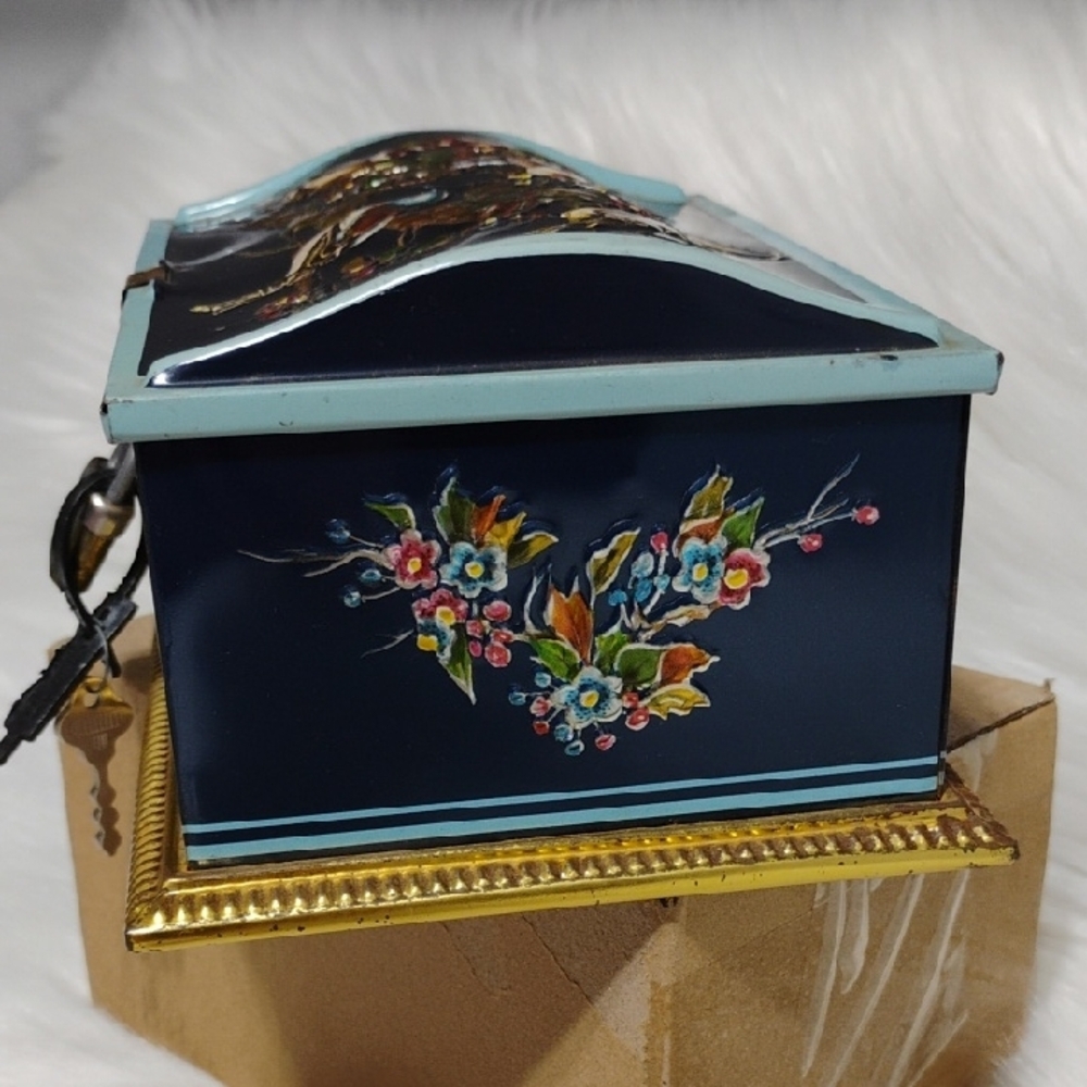 Linette Thin Metal Hand-Painted Floral & Bird Decor Print Box W Lock/Keys (BX80) - Picture 2 of 15